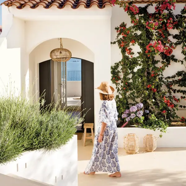 Buganvillas y otras 4 plantas resistentes con las que puedes decorar la pared de la terraza (que necesitan poco mantenimiento)