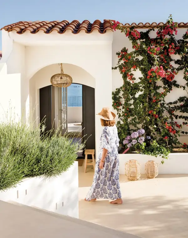 Buganvillas y otras 4 plantas resistentes con las que puedes decorar la pared de la terraza (que necesitan poco mantenimiento)