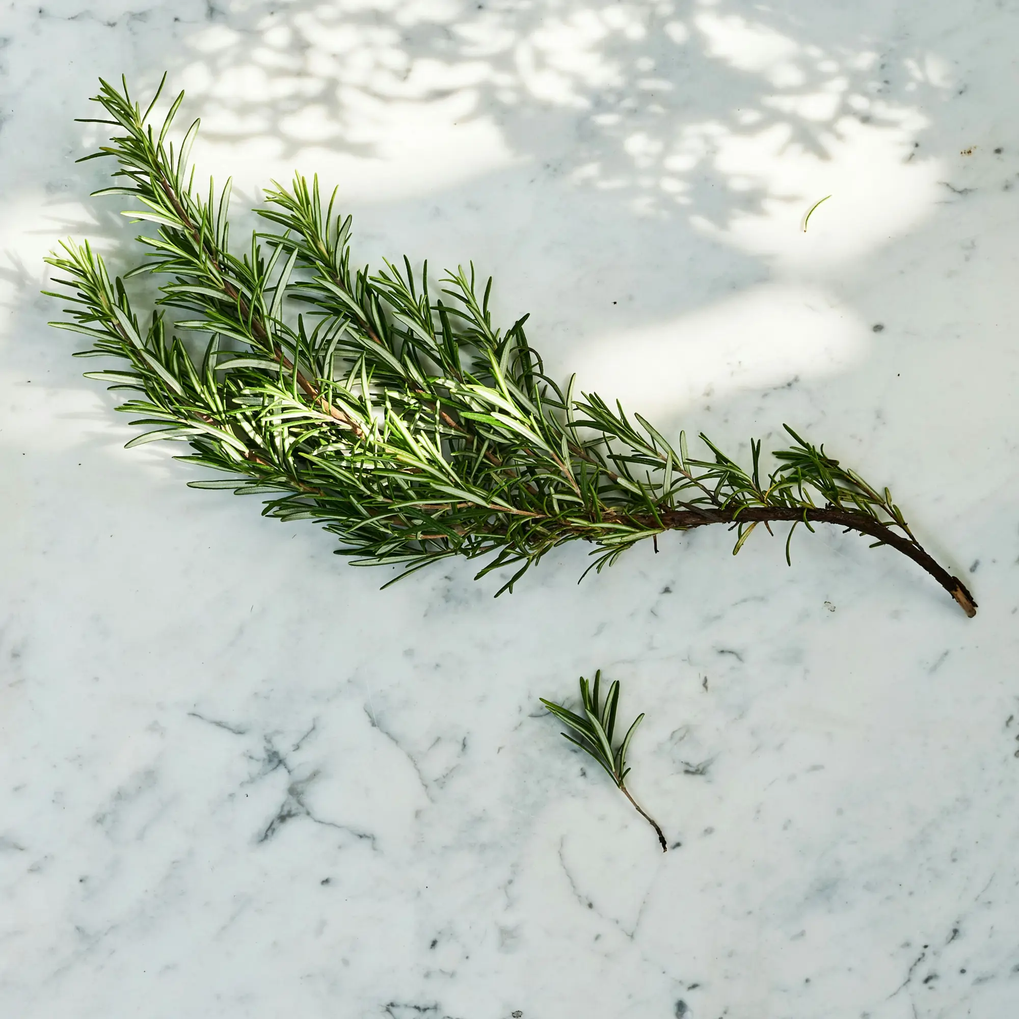 kinn living bI2nTABGZkY unsplash