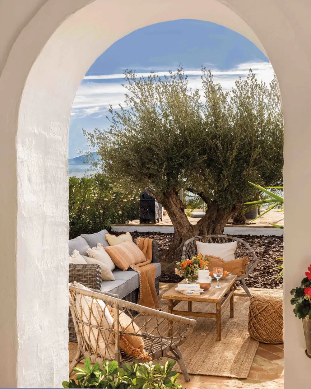Los olivos son todo un clásico en el diseño de terrazas y jardines