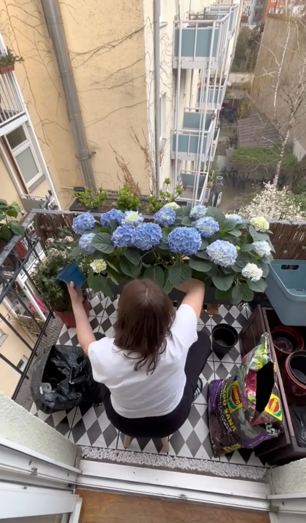 Balcón con hortensias azules