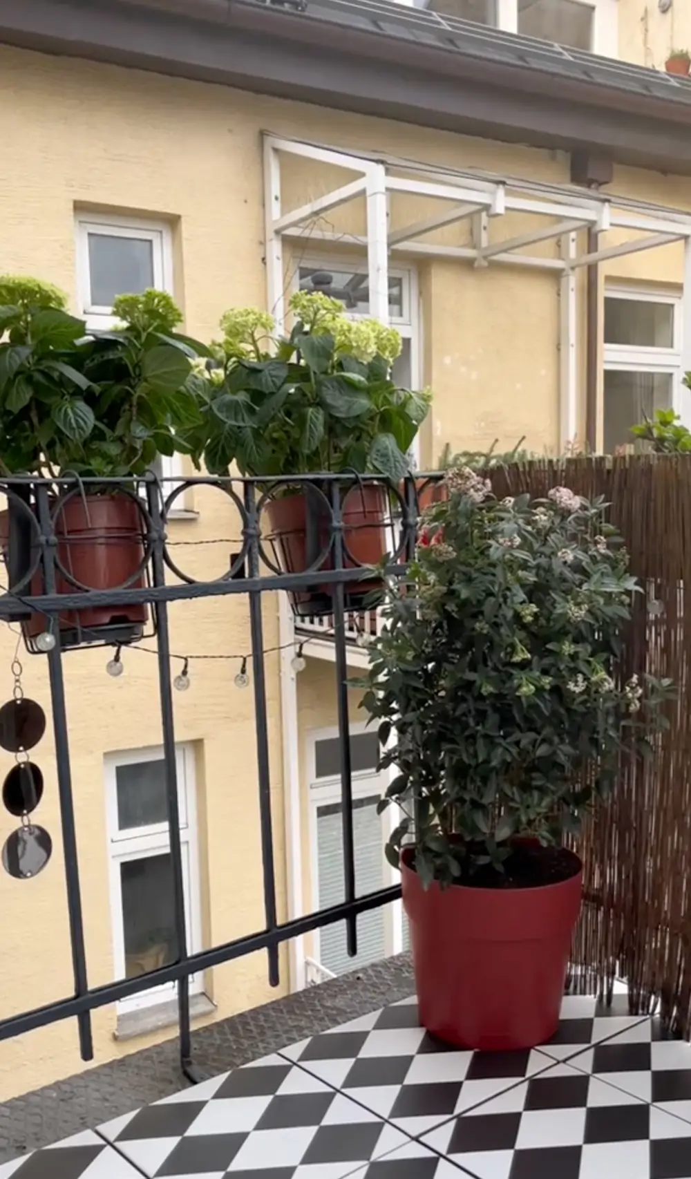 Balcón pequeño con plantas