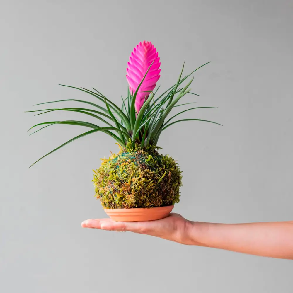 Arreglos florales para cumpleaños: 5 ideas bonitas, estilosas y ...