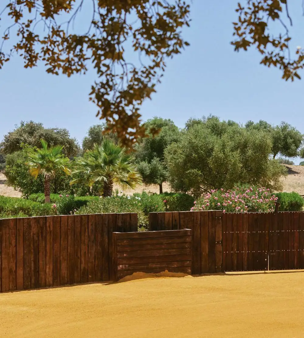Así es 'La Consentida', la finca de Roca Rey en Sevilla: 10 hectáreas ...